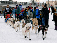 Yukon Quest 07